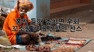 📢 홍천 들깨, 놓치면 후회! 꼬소함 극대박 할인 찬스! 🤩