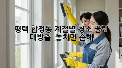 평택 합정동🏡 계절별 청소 꿀팁 대방출! ✨ 놓치면 손해!